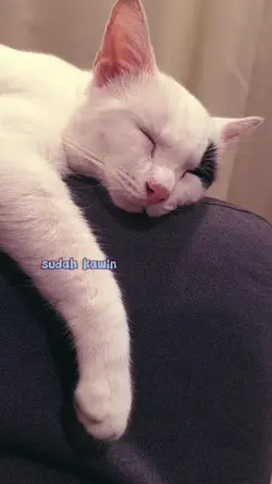 Sudah kawin ke