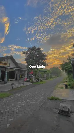 Opo kudu pasrah 