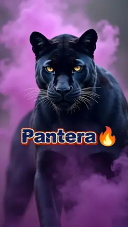 pantera