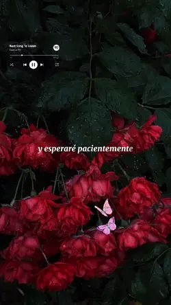 Alabanzas cristianas
