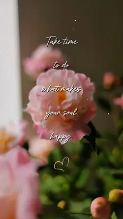 Happy Soul 