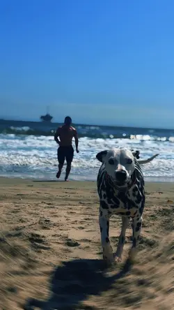 Summer beach vibes