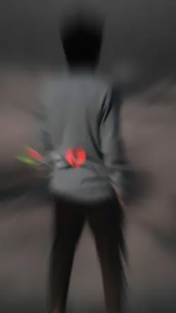 Wafadari~