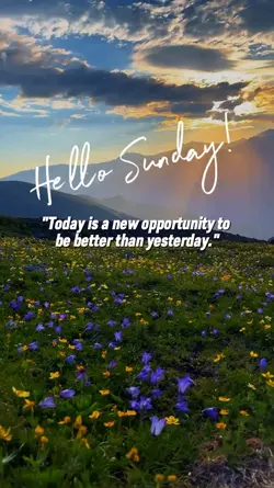 Today is a new 