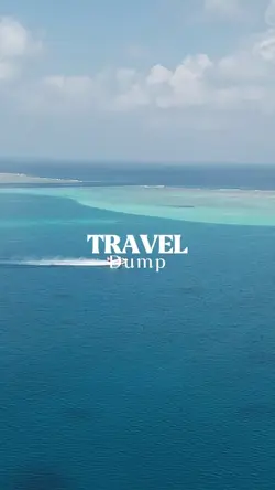 travel dump