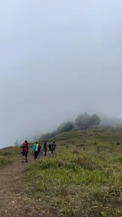 SOUND OF NATURE