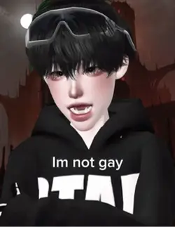 Im not gay