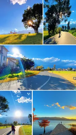 grid video aesthetic