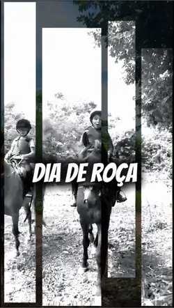 Dia de Mato