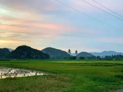 Puisi Anak Kerja 
