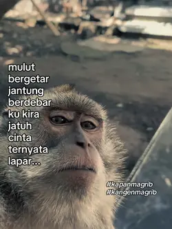 kata kata 