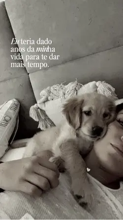 Luto pet 