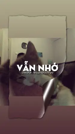 vẫn nhớ 10 ảnh