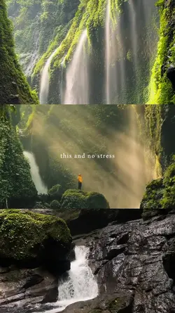 this and no stress