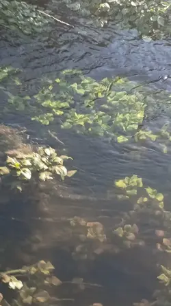 nature love