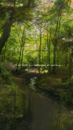 Life on Earth 🌳🧬✨