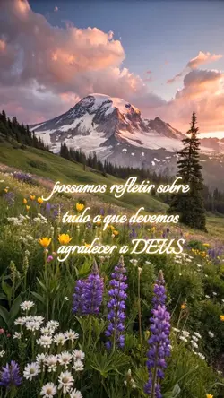 GRATIDÃO A DEUS