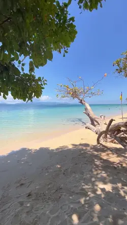 PADAGAT
