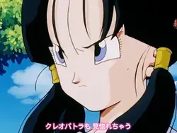ドラゴンボール ビーデルちゃん