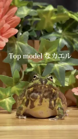 モデル撮影