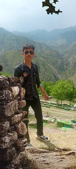 Pushpa 3