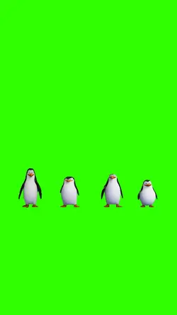 Pingouins danse