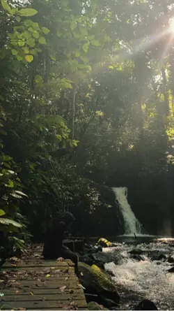 Air terjun 1 video