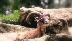 COLOR GRADING 4K