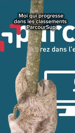 Paresseux ParcourSup