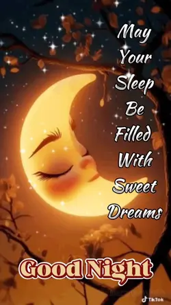 Sleeping Moon