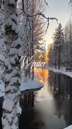Winter Vibes 
