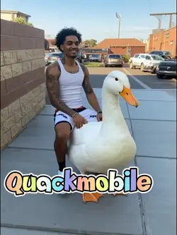 Duck uber