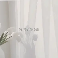 두둥 두둥실