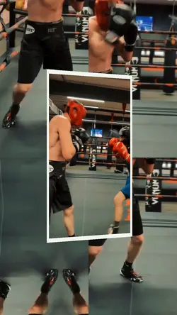 Made in Boxing