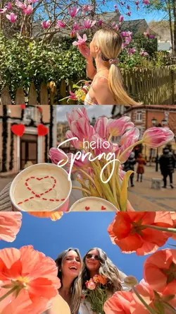 hello spring 