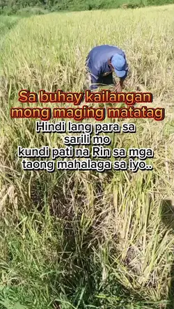 mondraytachenashank