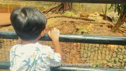 tteman nyamanmu