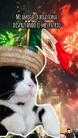 Gato mexicano 