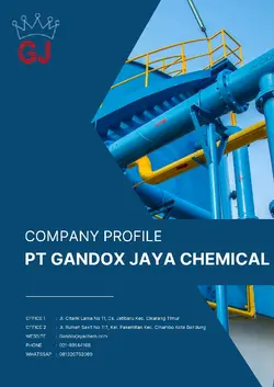 Company Profile