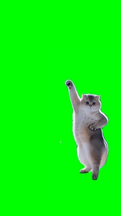 DANCE OVERLAY TREND