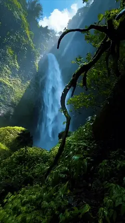 cinematic nature
