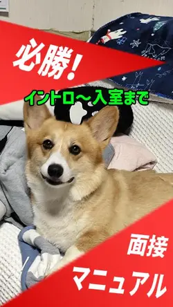 ルアくんの必勝！面接マニュアル