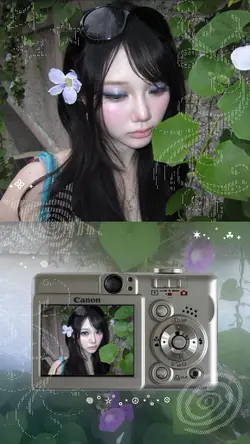 3 pics/videos