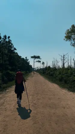 All video 