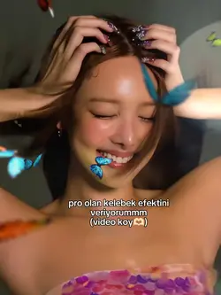 pro veriyorum