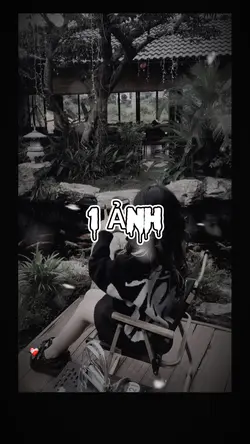 1 ảnh 