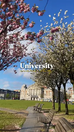 campus vlog