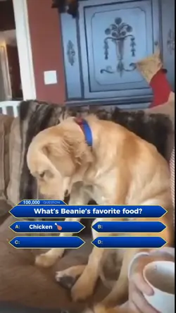 Game show