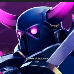 pekka versiyon