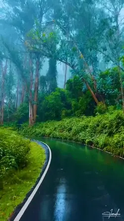 18 video or photo 